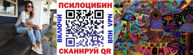 блэк спрут зеркало  Костерёво  Псилоцибиновые грибы Cubensis 